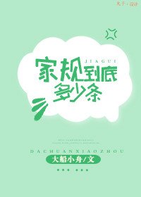 《家规到底多少条》