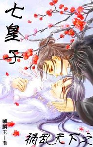 《祸乱天下之七皇子》