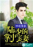 《99度爱恋:陆少的掌中宝妻》