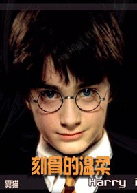《(HP同人)刻骨的温柔》