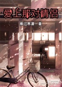 《爱上那对情侣》