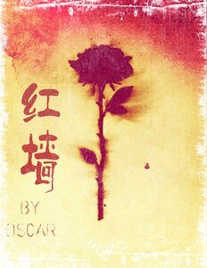 （网王同人）网王之红墙