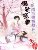《爆笑宠妻:无良夫妻要翻天》