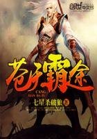 《苍天霸途》