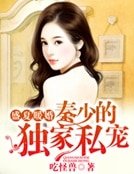 《盛夏暖婚:秦少的独家私宠》