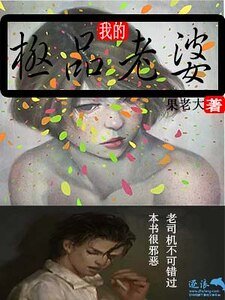 《我的极品老婆》