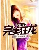都市完美狂龙