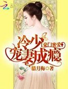 《豪门蜜爱:冷少宠妻成瘾》