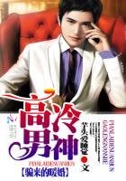 《高冷男神:骗来的暖婚》