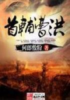 《首辅曹洪》