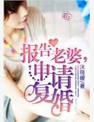 《报告老婆,申请复婚》