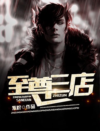 《至尊三店》