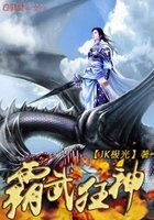 《霸武狂神》