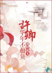 《许卿华年不相负》