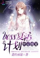 快穿绝宠,boss复活计划