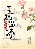 《重生之王妃温凉》