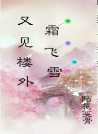 《又见楼外霜飞雪》