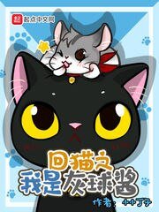 《(回到过去变成猫同人)回猫之我是灰球酱》