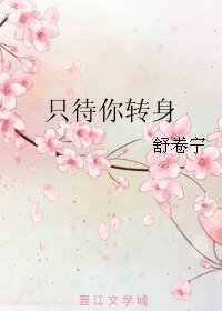 《只待你转身》