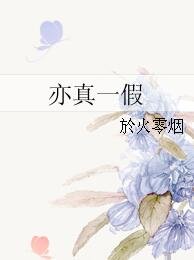 《亦真一假》