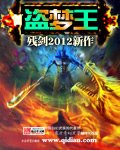 《盗梦王》