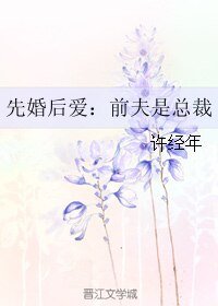 《先婚后爱:前夫是总裁》