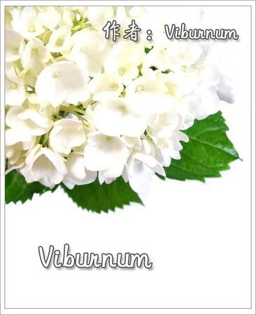 《(彩虹同人)VIBURNUM》