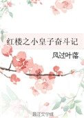 《红楼之小皇子奋斗记》