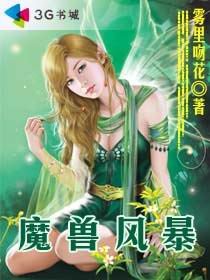 《魔兽风暴/魔兽风云》