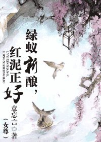 《绿蚁新酿,红泥正好(女尊)》