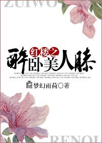 （红楼同人）红楼之醉卧美人膝