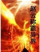 赵云称霸异界
