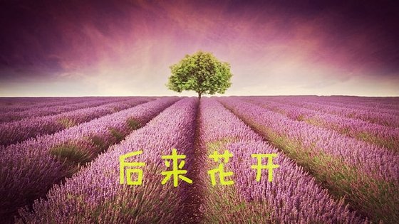 《后来花开》