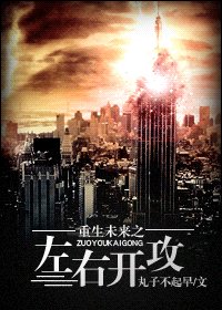 《重生未来之左右开攻》