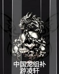 《中国龙组补》