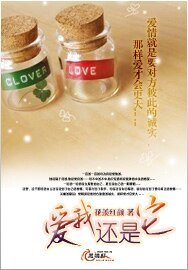 《爱我还是它》
