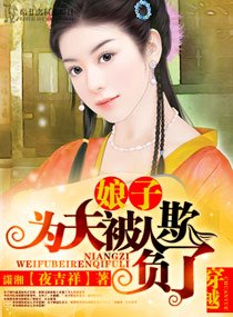 《娘子,为夫被人欺负了》