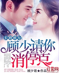 《长嫂难为:顾少请你消停点》