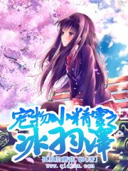 （宠物小精灵同人）宠物小精灵之冰羽泽