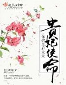 贵妃使命：保护皇后大大