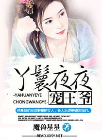 《丫鬟夜夜宠王爷》