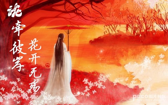 《魂牵彼岸,花开无殇》