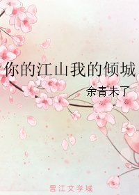 《你的江山我的倾城》