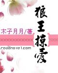 《狼王掠爱》
