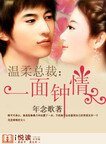 《温柔总裁:一面钟情》