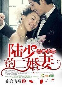 《首席宠爱,陆少的二婚妻》