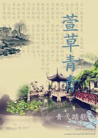 《萱草青青》