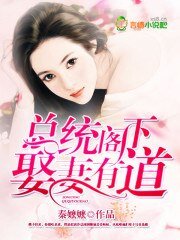 总统阁下，娶妻有道/二胎计划，霸道总统宠宠宠！