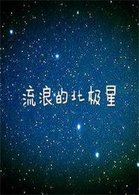 《流浪的北极星》