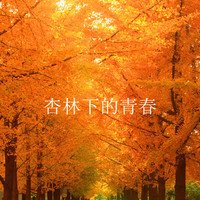 杏林下的青春